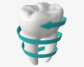 Tooth Molars With Arrow 03 Modèle 3D