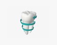 Tooth Molars With Arrow 03 3D 모델 