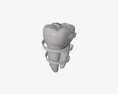 Tooth Molars With Arrow 03 3D модель