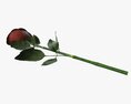 Single Beautiful Red Rose On Ground 3d model