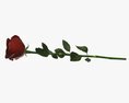 Single Beautiful Red Rose On Ground 3D модель