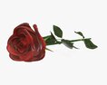 Single Beautiful Red Rose On Ground 3D-Modell
