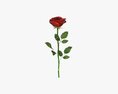 Single Beautiful Red Rose Modelo 3D