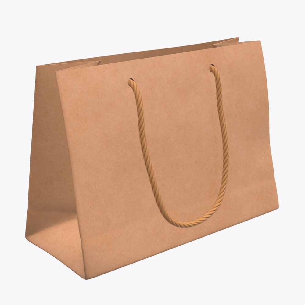 Paper Bag Medium With String Handle Modello 3D