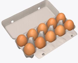 Egg Cardboard Package For 10 Eggs Opened 3D模型
