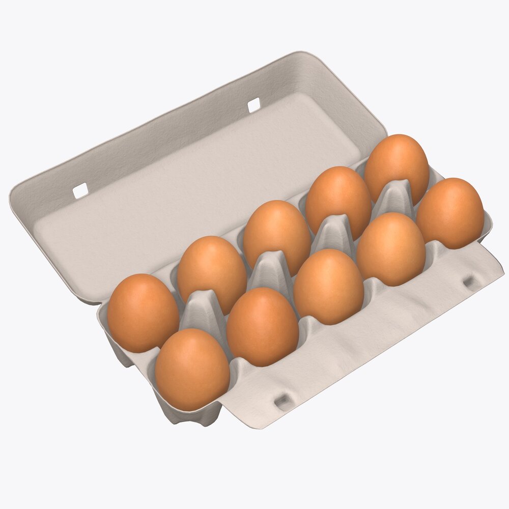 Egg Cardboard Package For 10 Eggs Opened 3D model