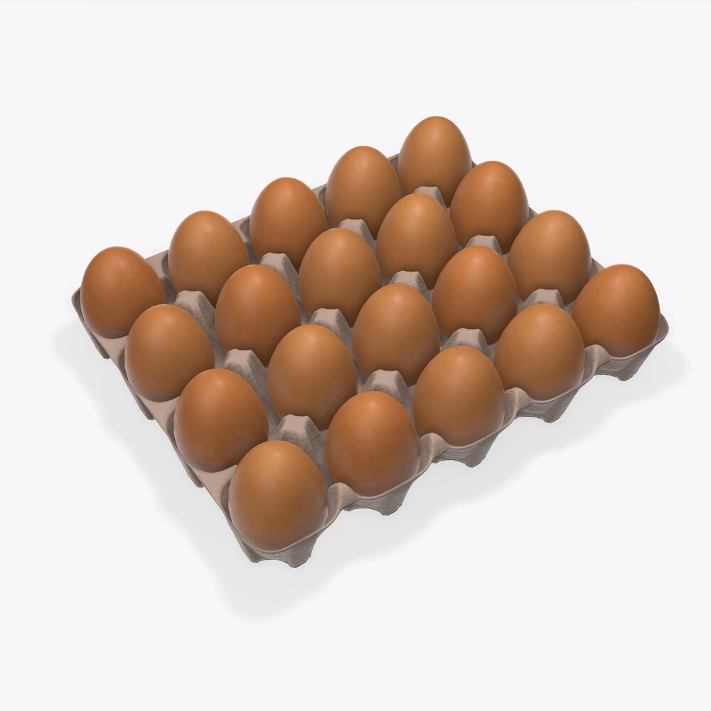 Egg Cardboard Base For 20 Eggs 3D model