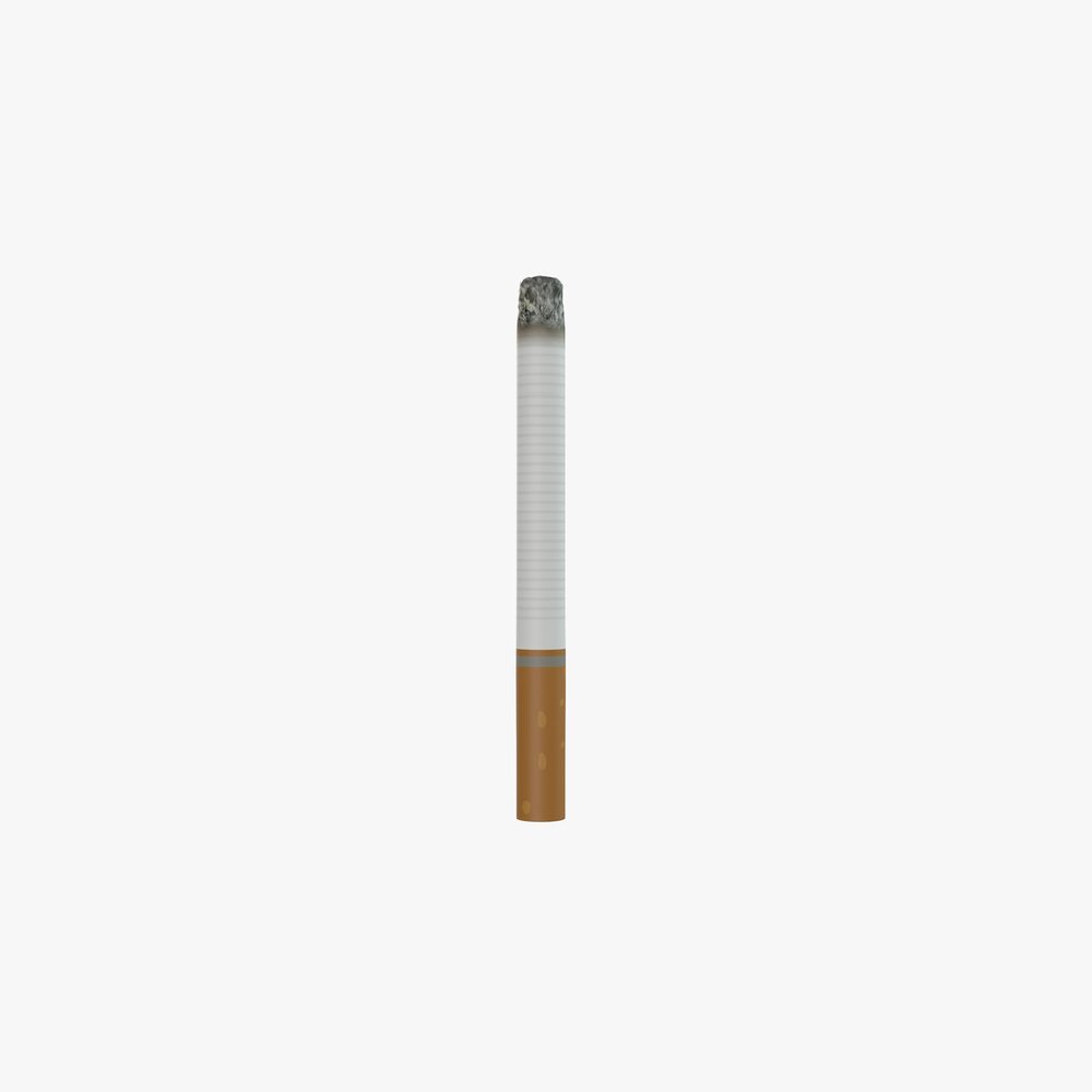 Cigarette Used 3D-Modell