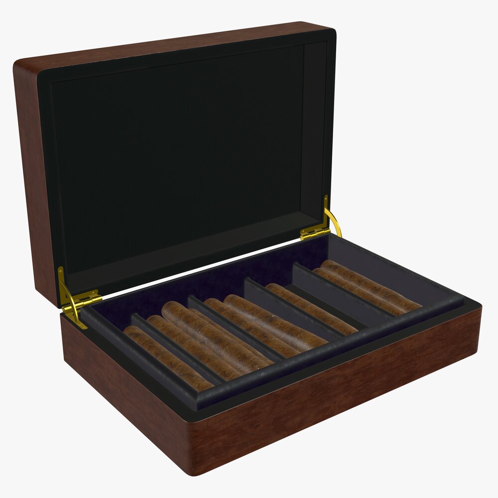 Cigar Box Full 3D model