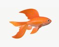 Goldfish Cartoon Modello 3D