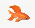 Goldfish Cartoon 3d model