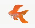 Goldfish Cartoon 3d model