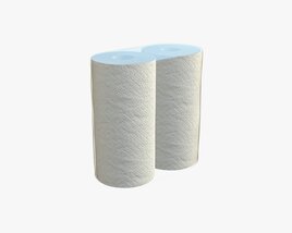 Paper Towel 2 Pack Small Modelo 3d