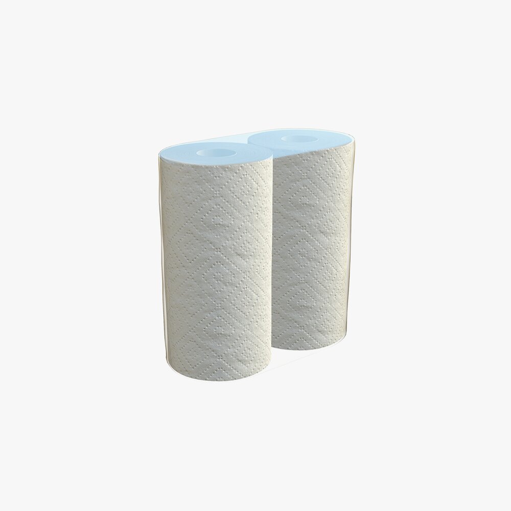 Paper Towel 2 Pack Small 3D model