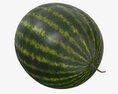 Watermelon Whole 3D модель