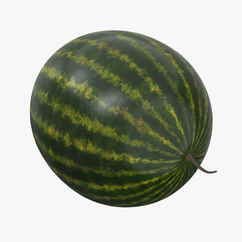 Watermelon Whole 3D 모델 