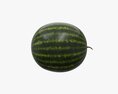 Watermelon Whole Modelo 3D