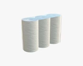 Paper Towel 3 Pack Medium 3D модель