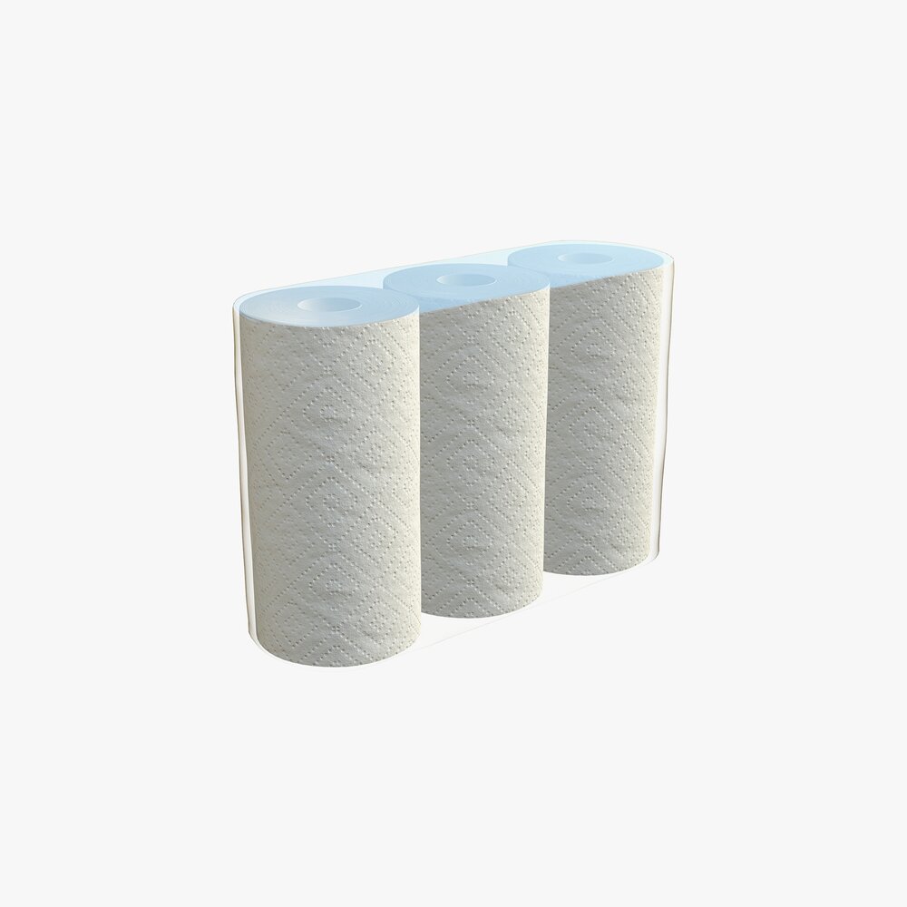 Paper Towel 3 Pack Medium 3D model