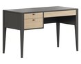 Dantone Home Verona Desk 3d model